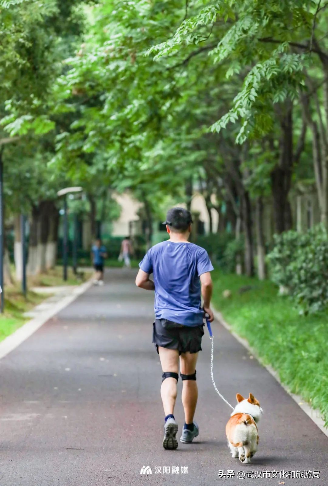 人均绿地面积第一,汉阳人人有份