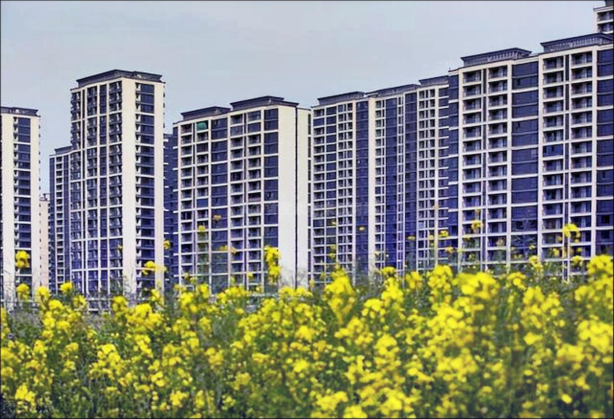 住了十年顶楼,住了12年要搬家了舍不得