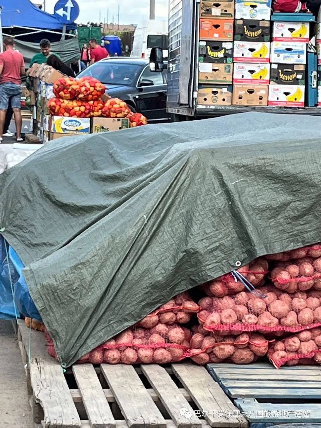 罗马尼亚蔬菜,罗马尼亚大型水果批发市场