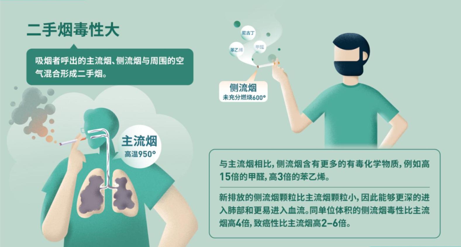 世界无烟日烟对身体的伤害,吸烟对肺的影响世界无烟日