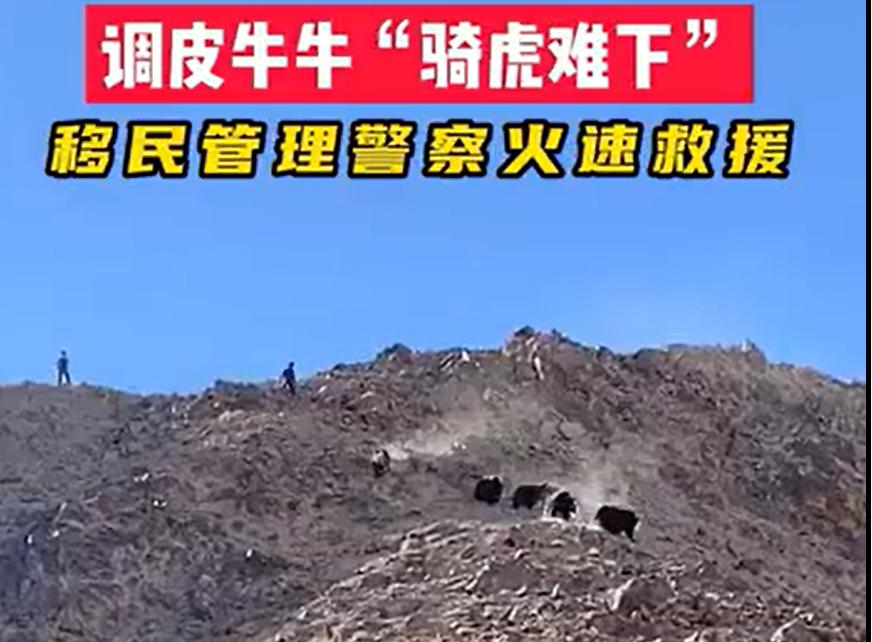 男子自家鱼塘电鱼被罚500元,男子自家鱼塘电鱼被处罚网友追问