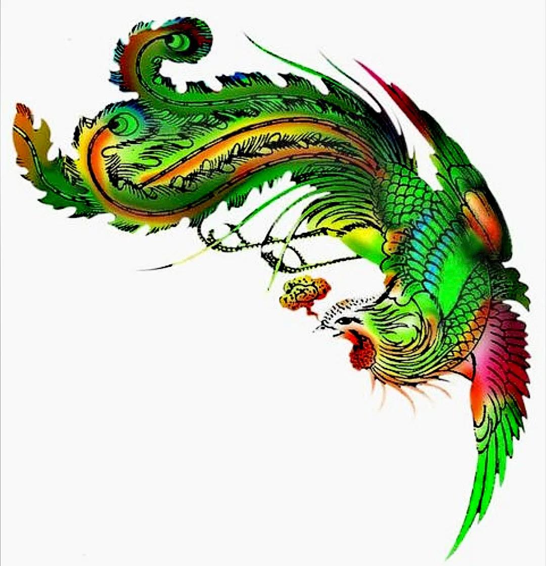 期待凤凰浴火重生,凤凰浴火重生全集