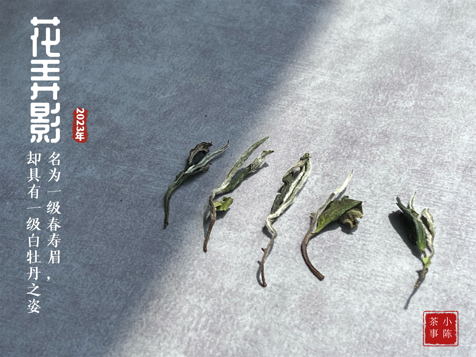 现在喝白茶的价目表,新手入门级白茶推荐