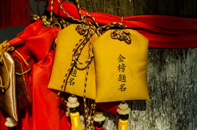 陪读日记46篇,陪读日记100分