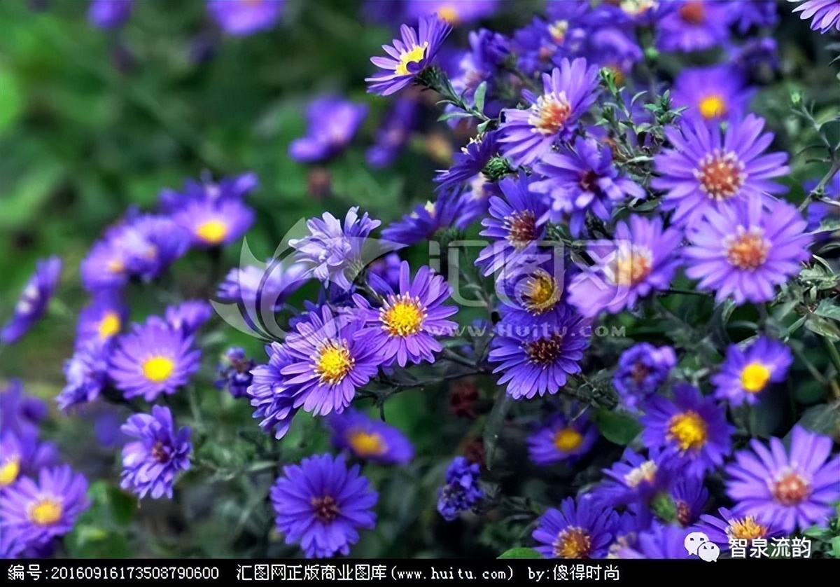 郭进栓汝州,郭进栓