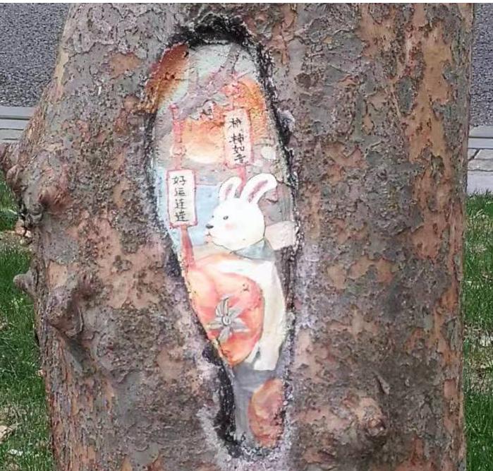 上海中山公园十大景观,上海中山公园新添8个树洞画