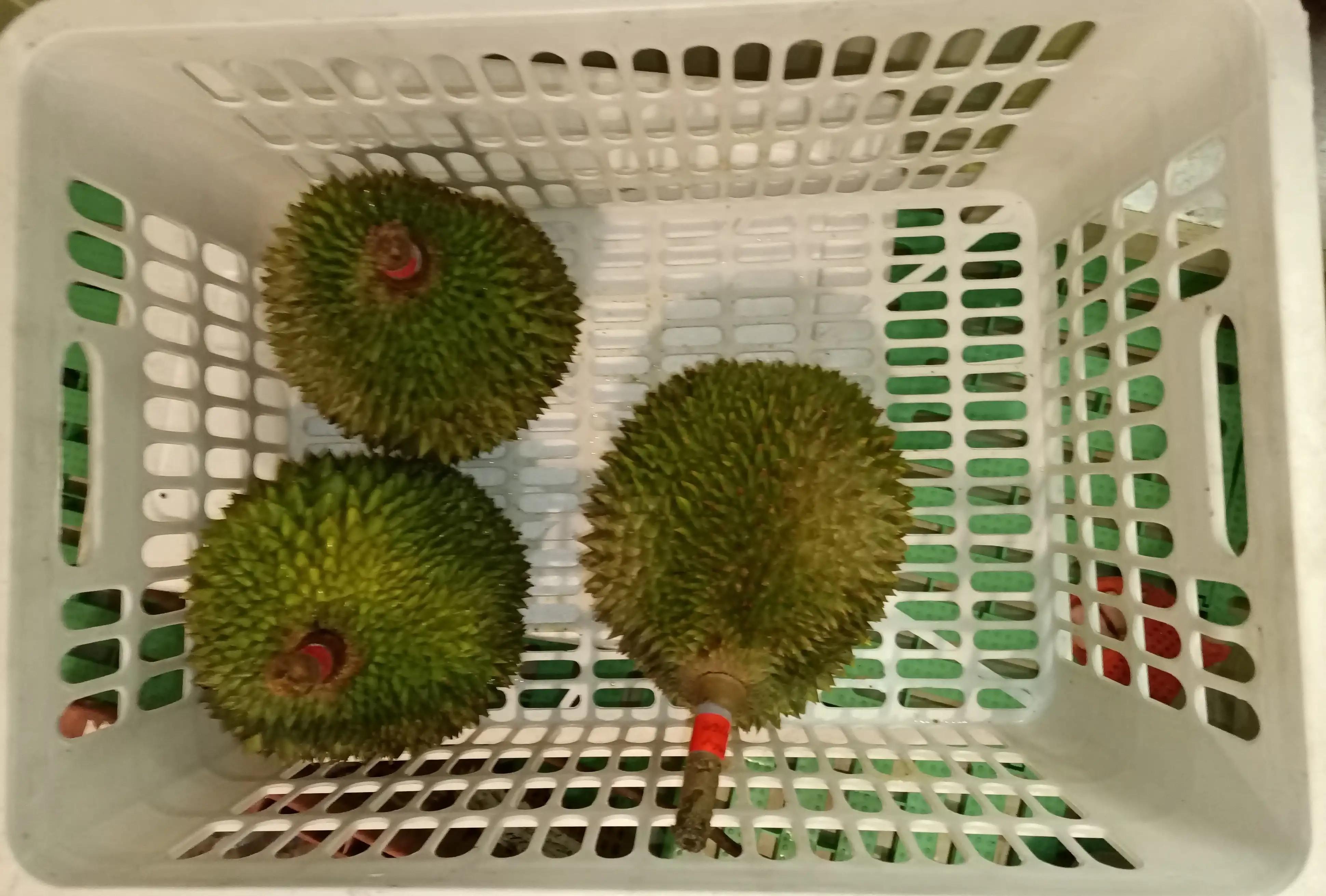 跑船的在船上经常吃海货吗,跑船跑了二十多年