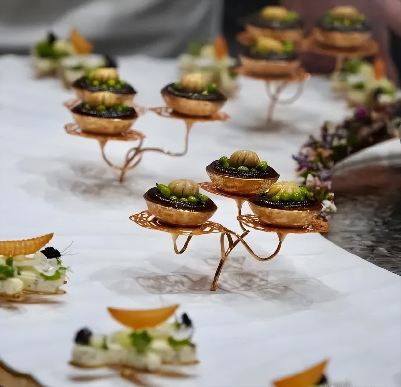 2023博古斯世界烹饪大赛超燃剪辑 (博古斯世界烹饪大赛中国代表队)