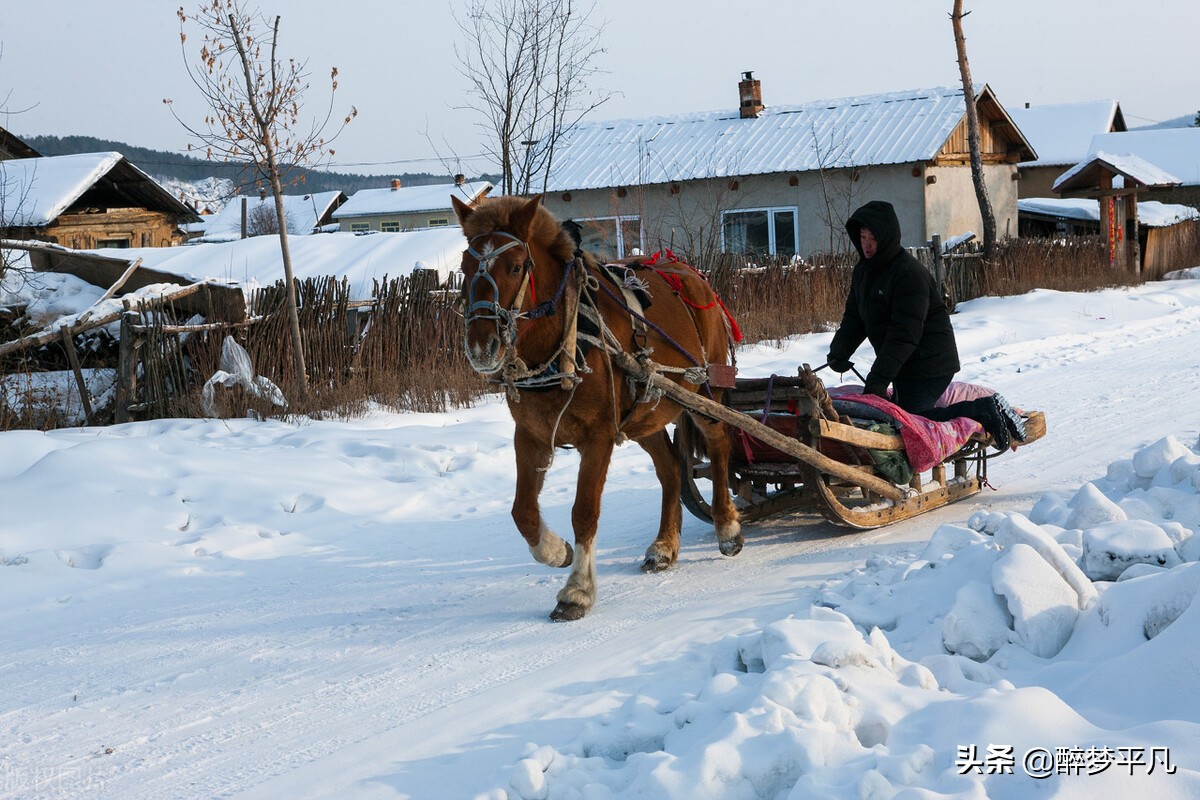 黑龙江漠河北极村大兴安岭,黑龙江漠河北极村地图