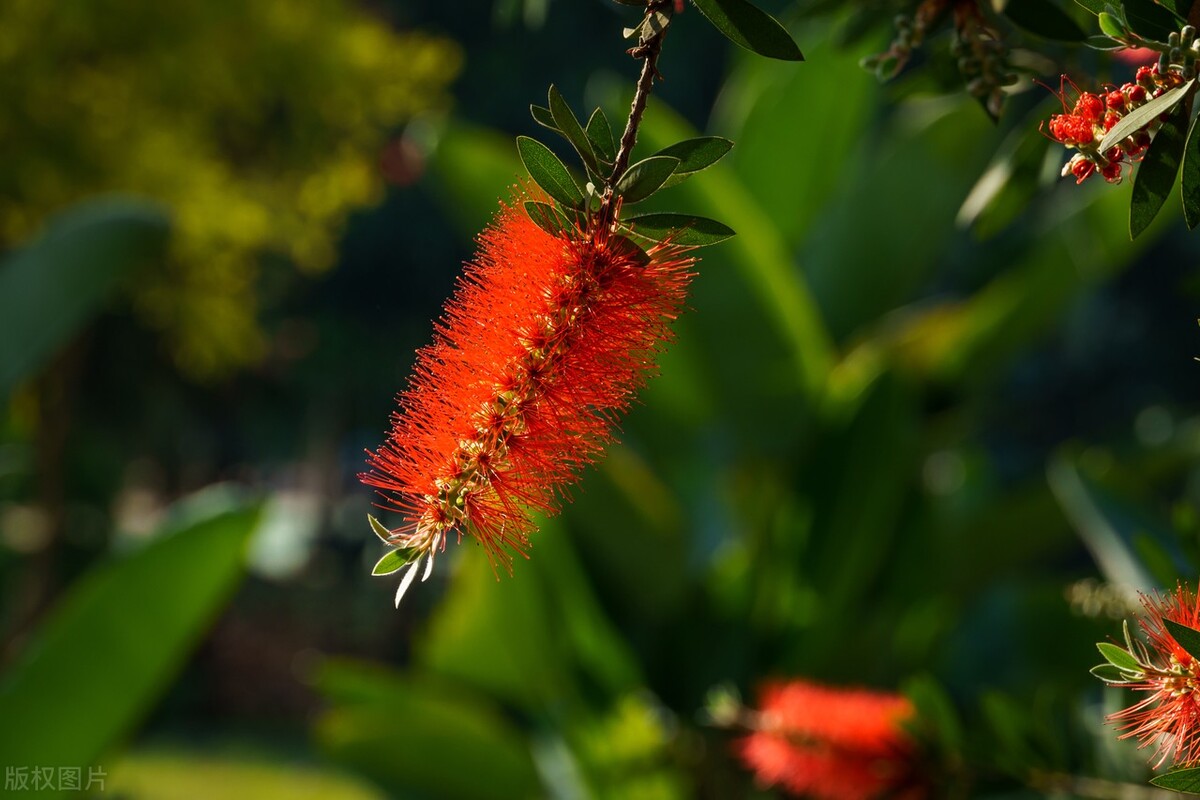 100种迷人的“数字花”,从零到一百万,真是太神奇了