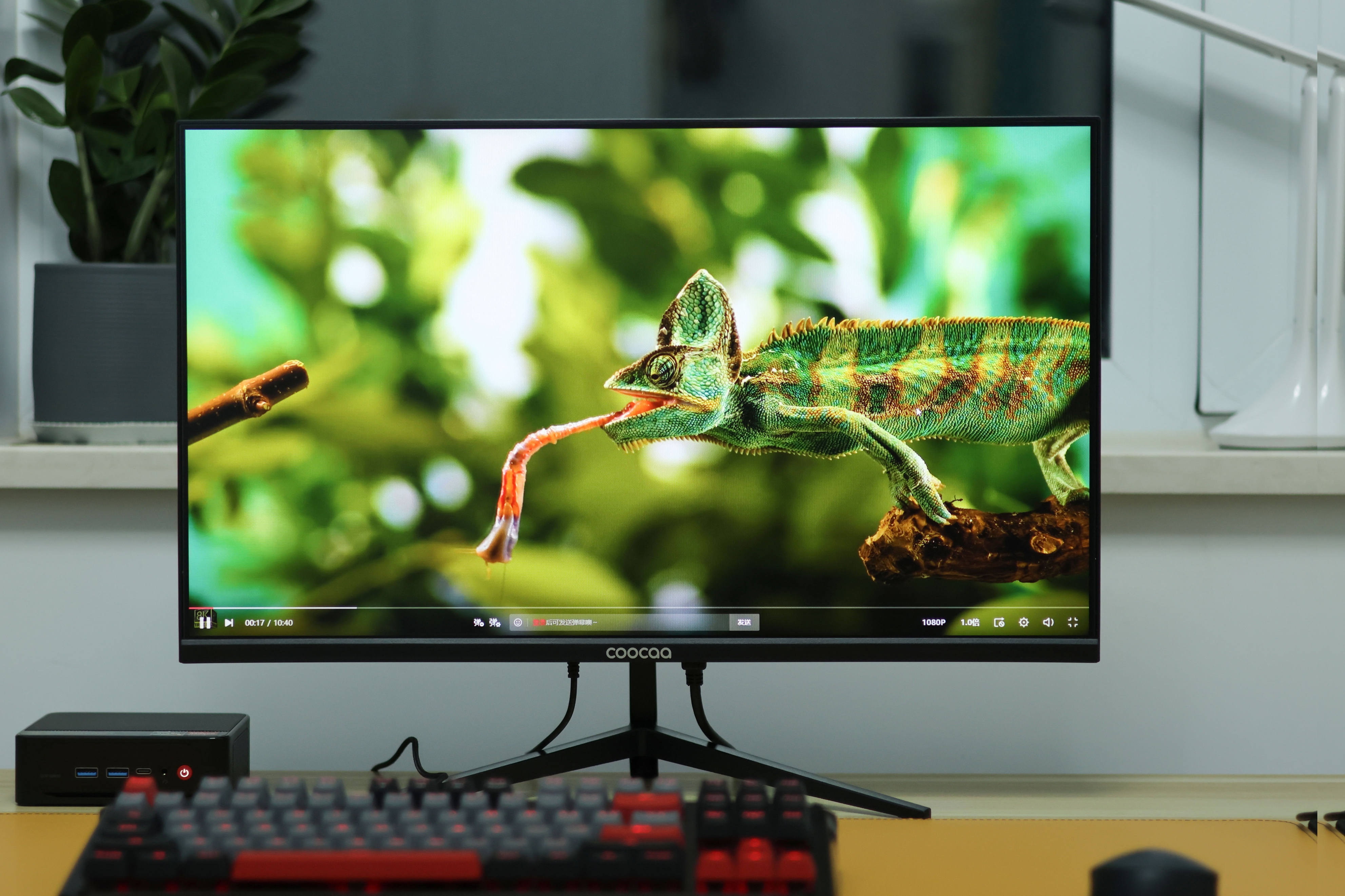 优派显示器399元,399显示器评测