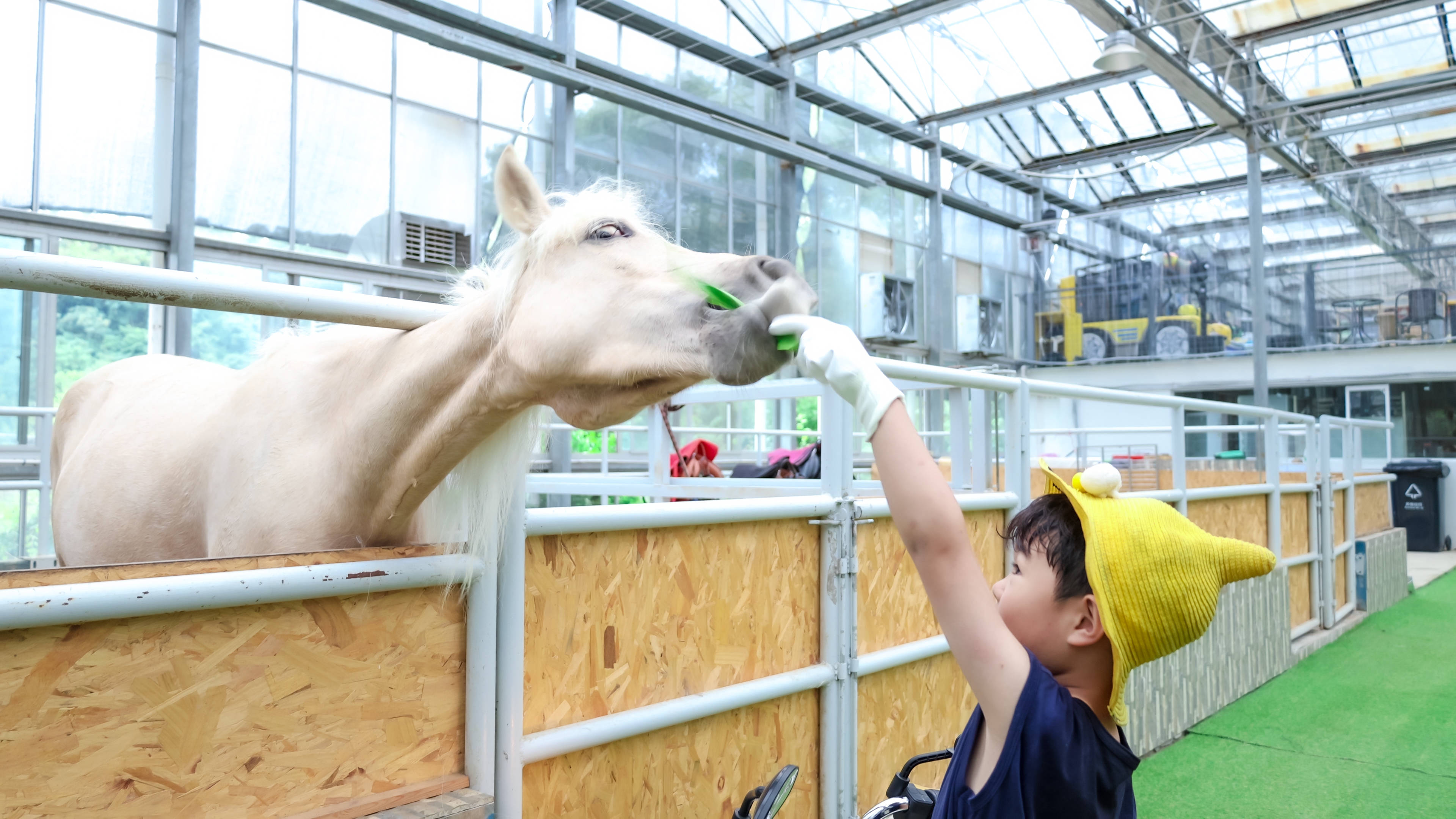 邂逅无锡,无锡惠山区龙隐翠竹酒店在哪里