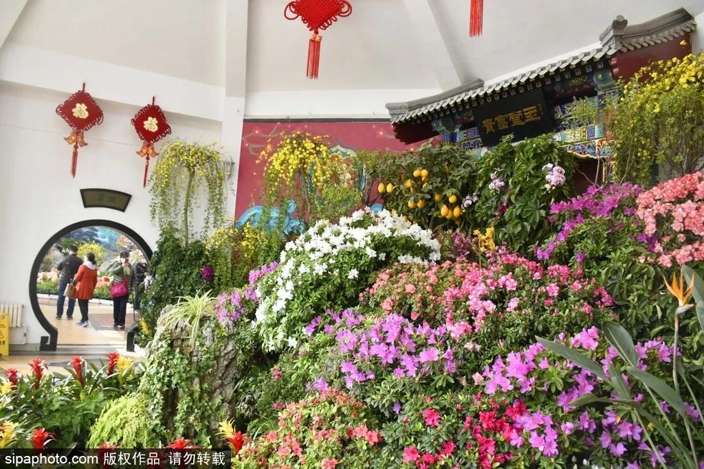 春天北京看花的景点推荐,北京冬天看花的景点推荐