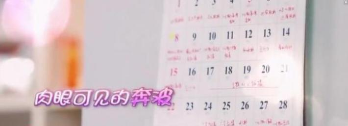 毛不易薛之谦怼人名场面合集,薛之谦毛不易才华战胜资本的故事