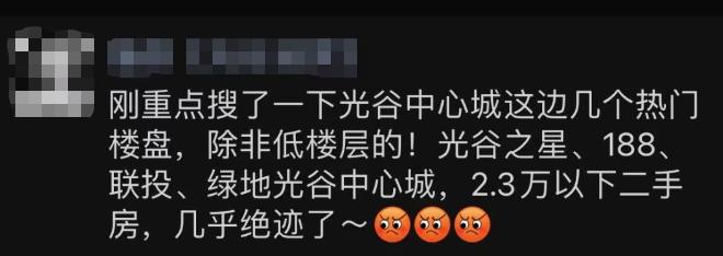 光谷东有哪些房产中介,光谷东房产现状