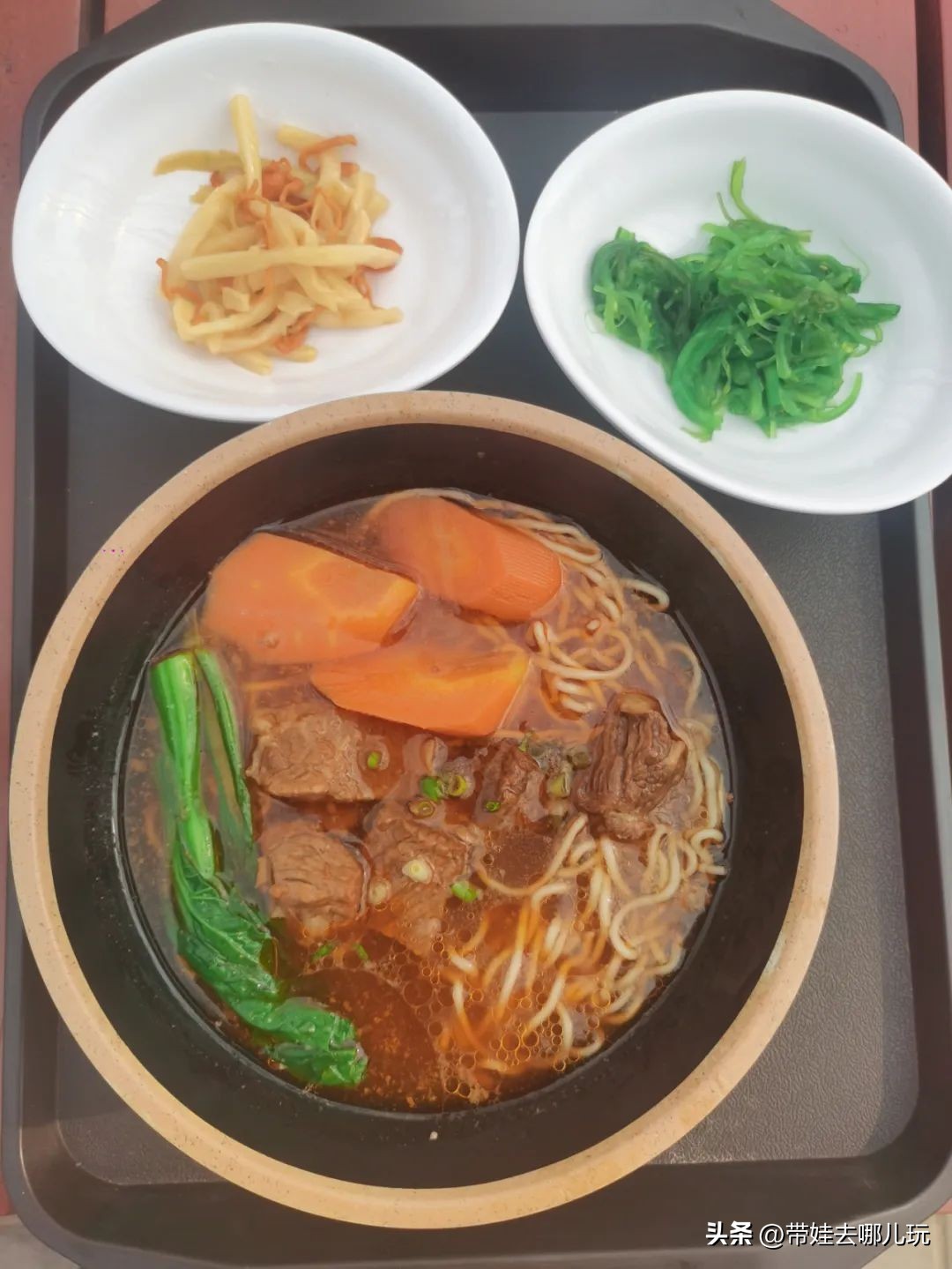 一天玩遍北京野生动物园,包场去鸟巢