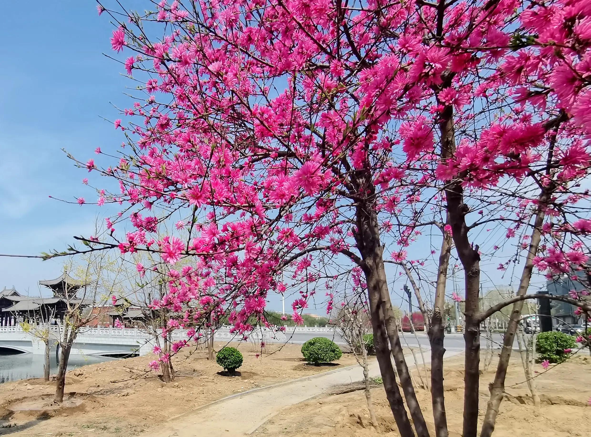 浅谈中小学生抑郁情绪的成因与对策