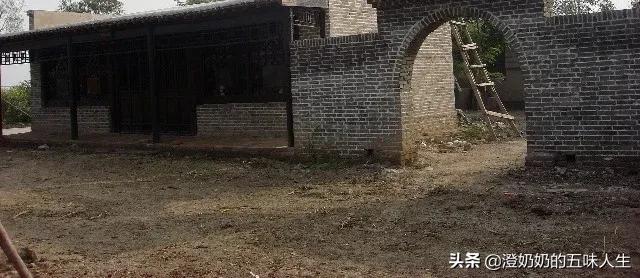 天津宁河七里海现在有什么玩的,宁河七里海五一