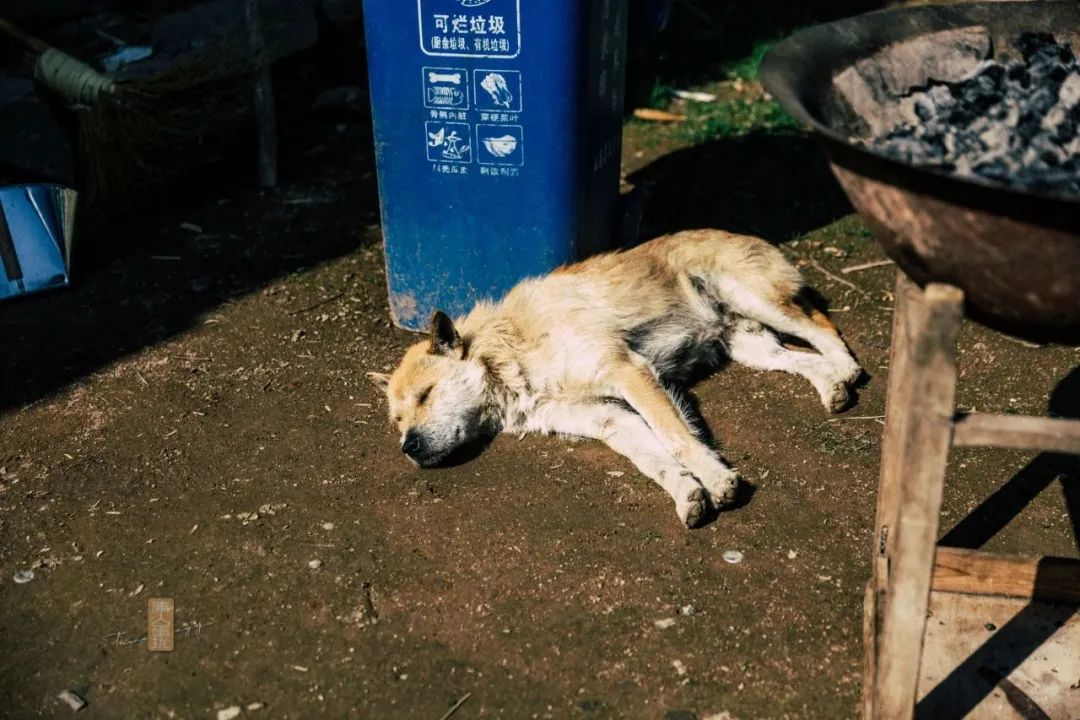 鍏泜绉樺,浠欏眳鍏泜绉樺