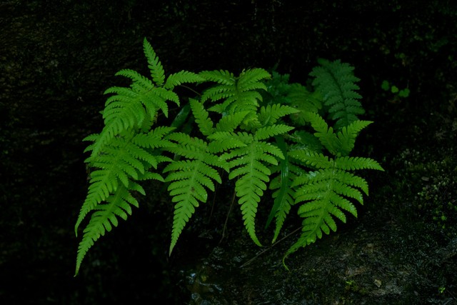 家长请老师去做美容怎样拒绝,母女做美容