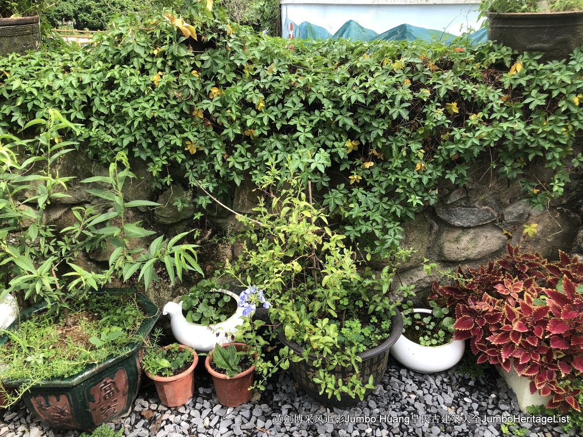 第3379回：秘密大营救会新楼，叶亚来周田碧滟楼