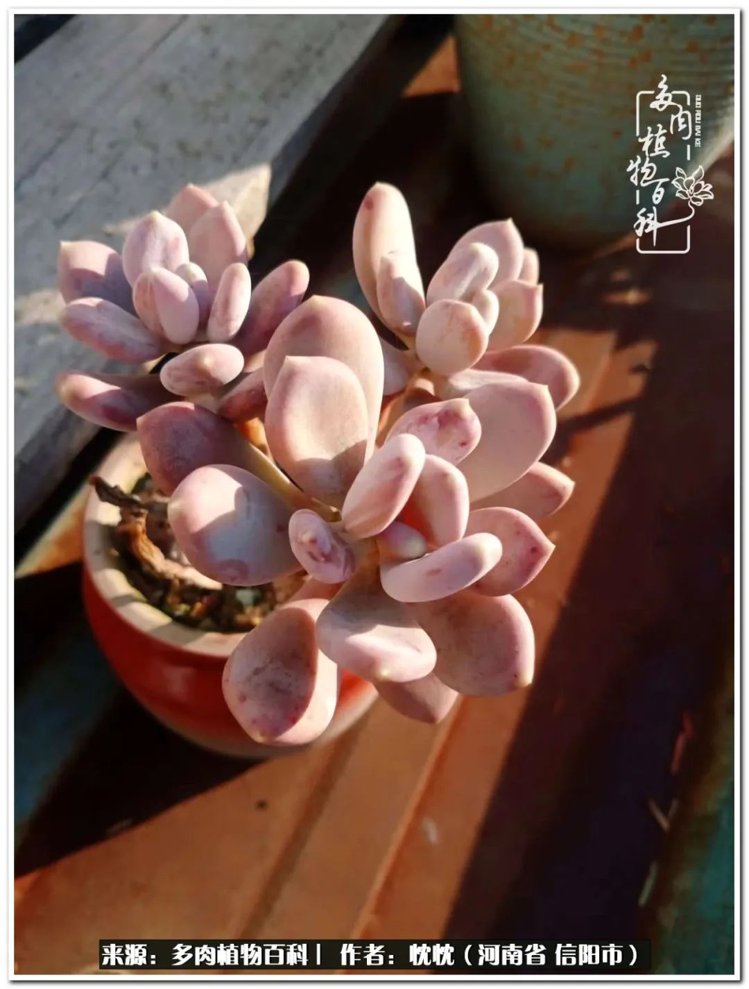 携一人白首择一城终老心之向往,携一人之手择一城终老图片