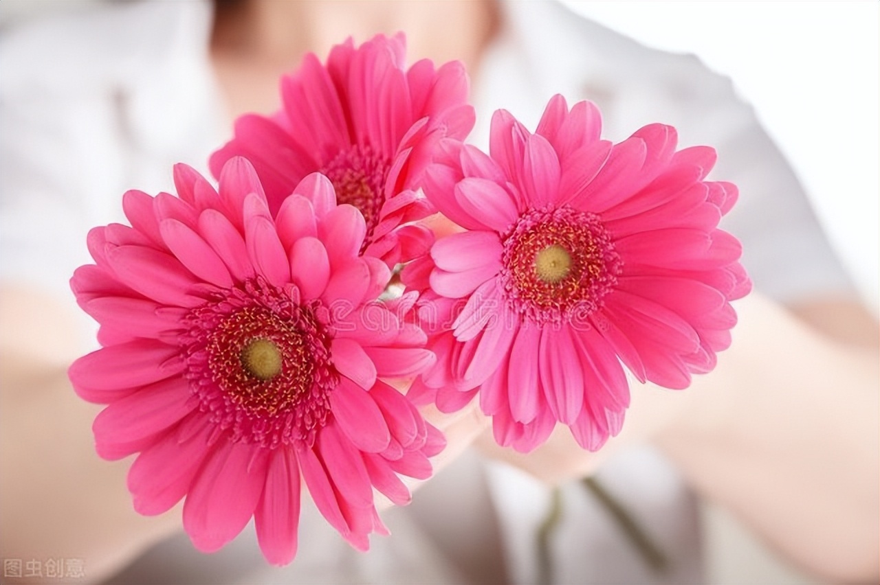 女性哪些行为容易诱发阴道炎？这5种行为，可能会伤害女性