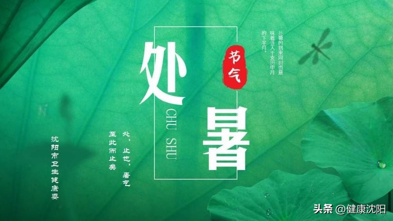 处暑节气的活动及养生妙招,24节气里的处暑上一个节气是什么