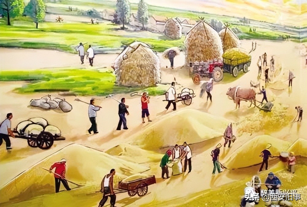 冯育斌：麦场上扬起的是生活的炊烟