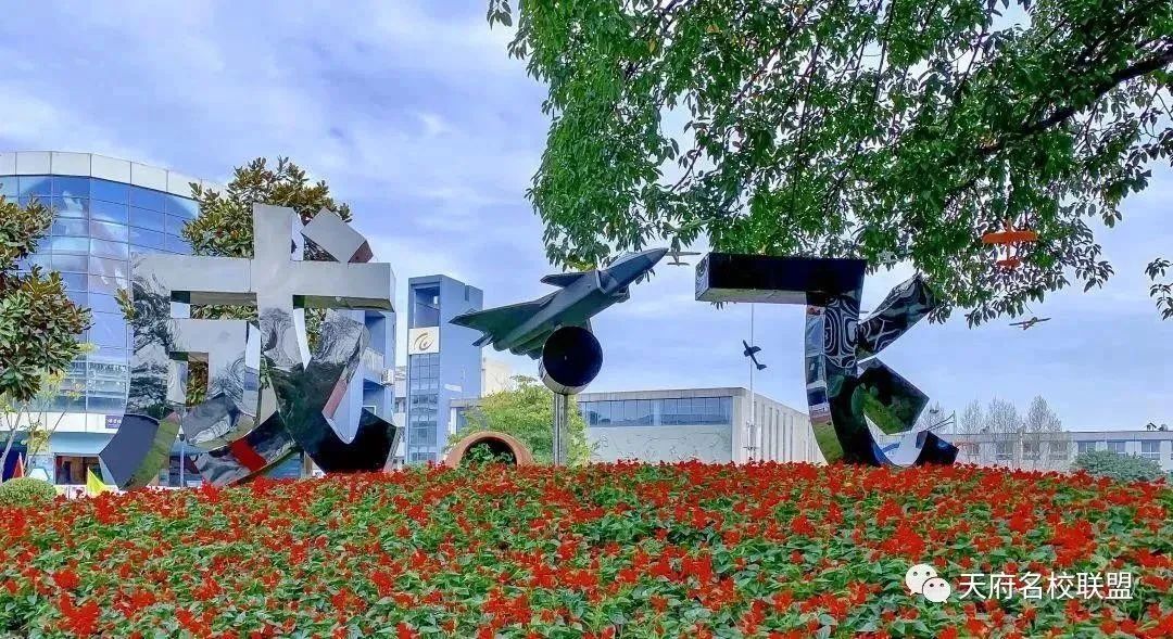 成都公办高中2019录取率,成都五城区高中