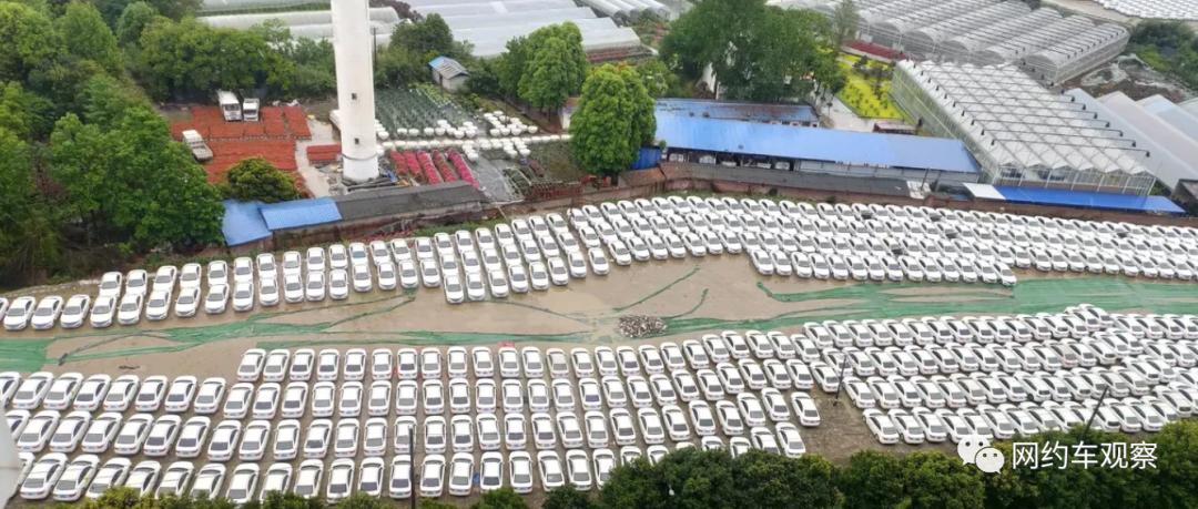 多地惊现网约车,网约车预计多久会倒闭