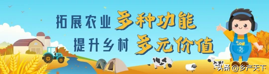 全国乡村产业发展规划2020-2025,2024年乡村产业振兴实施方案
