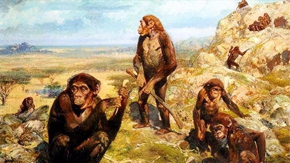 女性屁股上为啥也会长毛？能不能直接刮掉？为了健康，最好了解下