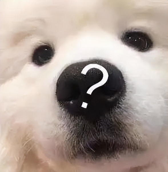 你的成绩无法查询,你的分数过高系统不予显示