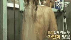 最高贵的狗阿富汗猎犬,最高贵的阿富汗猎犬