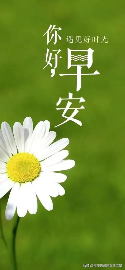 微信早上好正能量经典短语录,微信早晨发圈正能量的句子