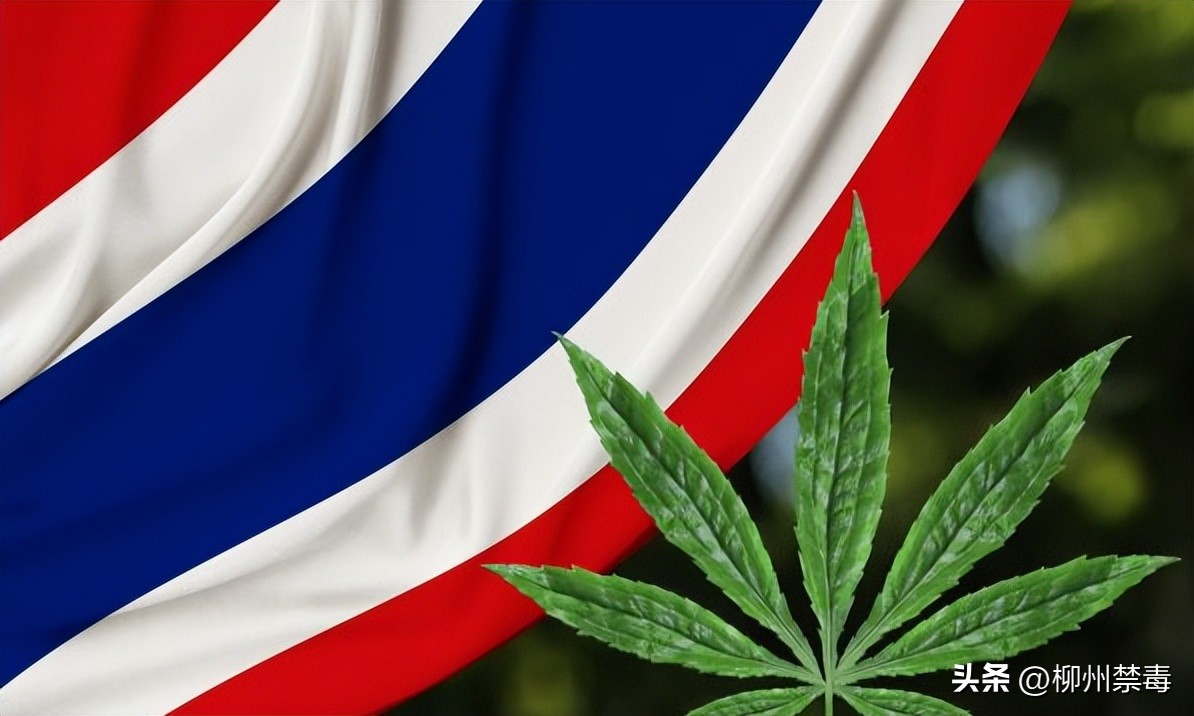 泰国*麻大**合法化以后，出国旅游留学怎样防止不慎染毒…...