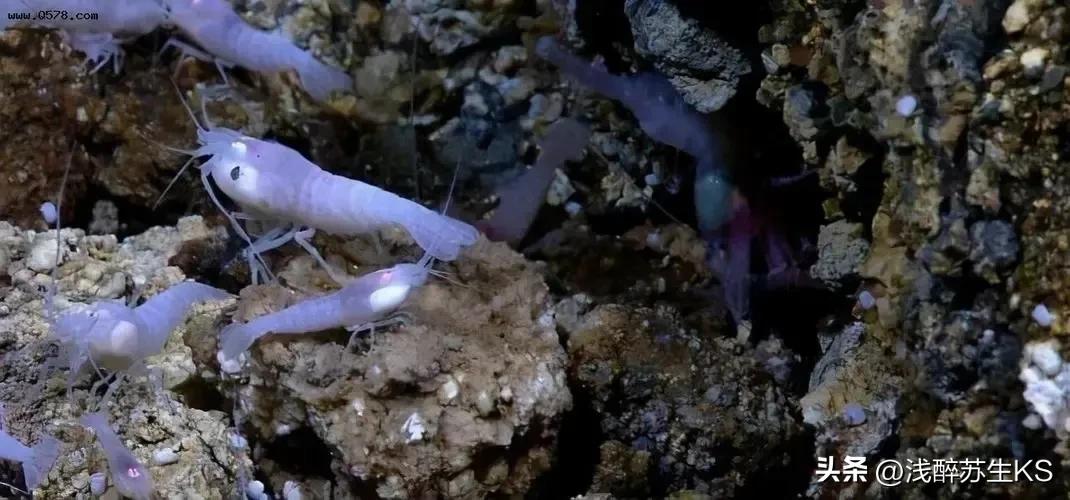 欧罗巴含水量 (太阳系含水的星体)