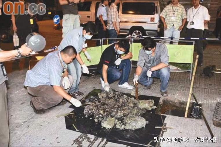 花季少女惨遭分尸案,16岁少女杀人分尸案