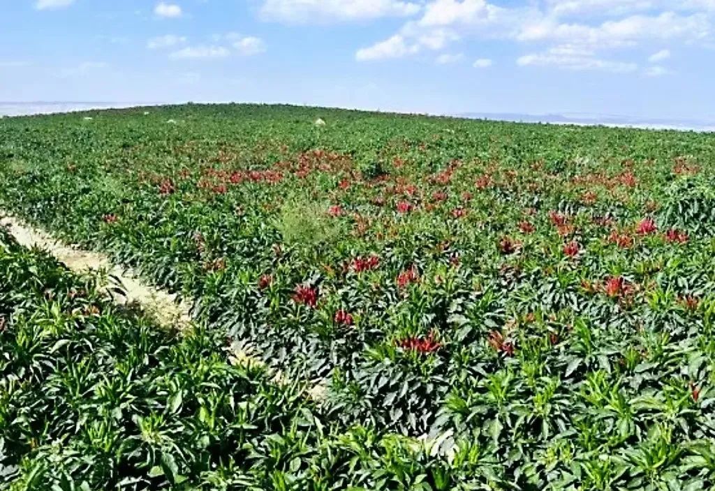 白银生态美景,白银大地山水