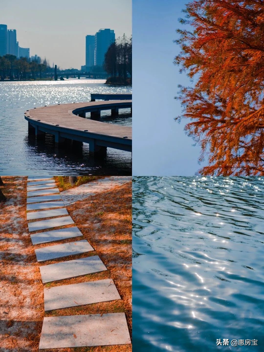 上海公园免费,上海免费公园排行