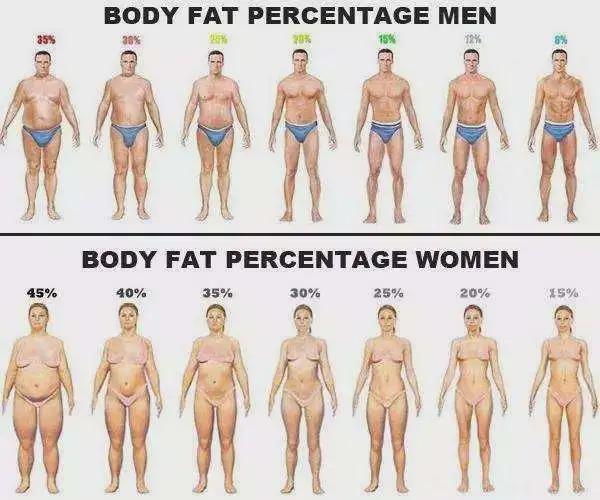 金晨锻炼时穿的什么衣服,金晨发布运动照露腹肌实力抢镜