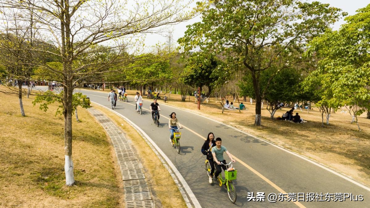 五一旅游东莞收入,五一东莞游花销