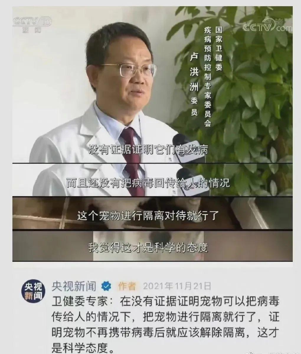 疫情宠物被无害化处理怎么办,无害化处理宠物狗