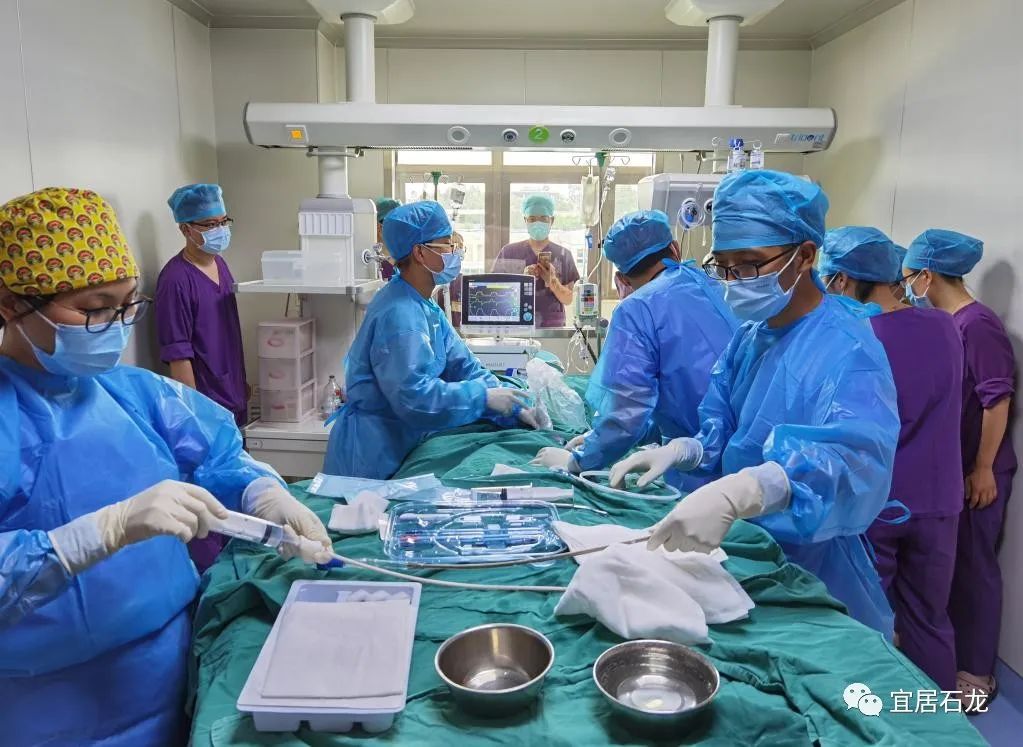 长颈鹿医院官网,长颈鹿医院看病