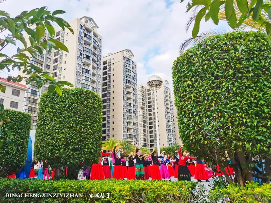 旅居海南：九所新区的浪漫情