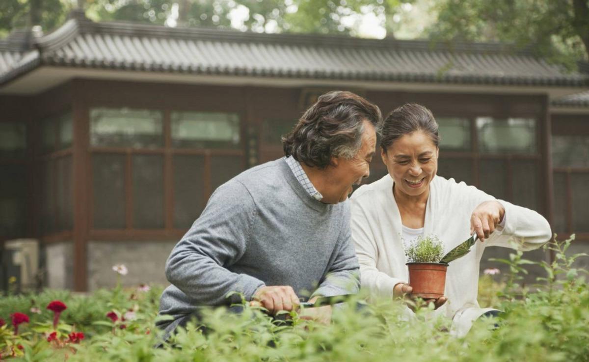 老年人的夫妻生活，可以坚持到多大年龄？4个建议需要听一听