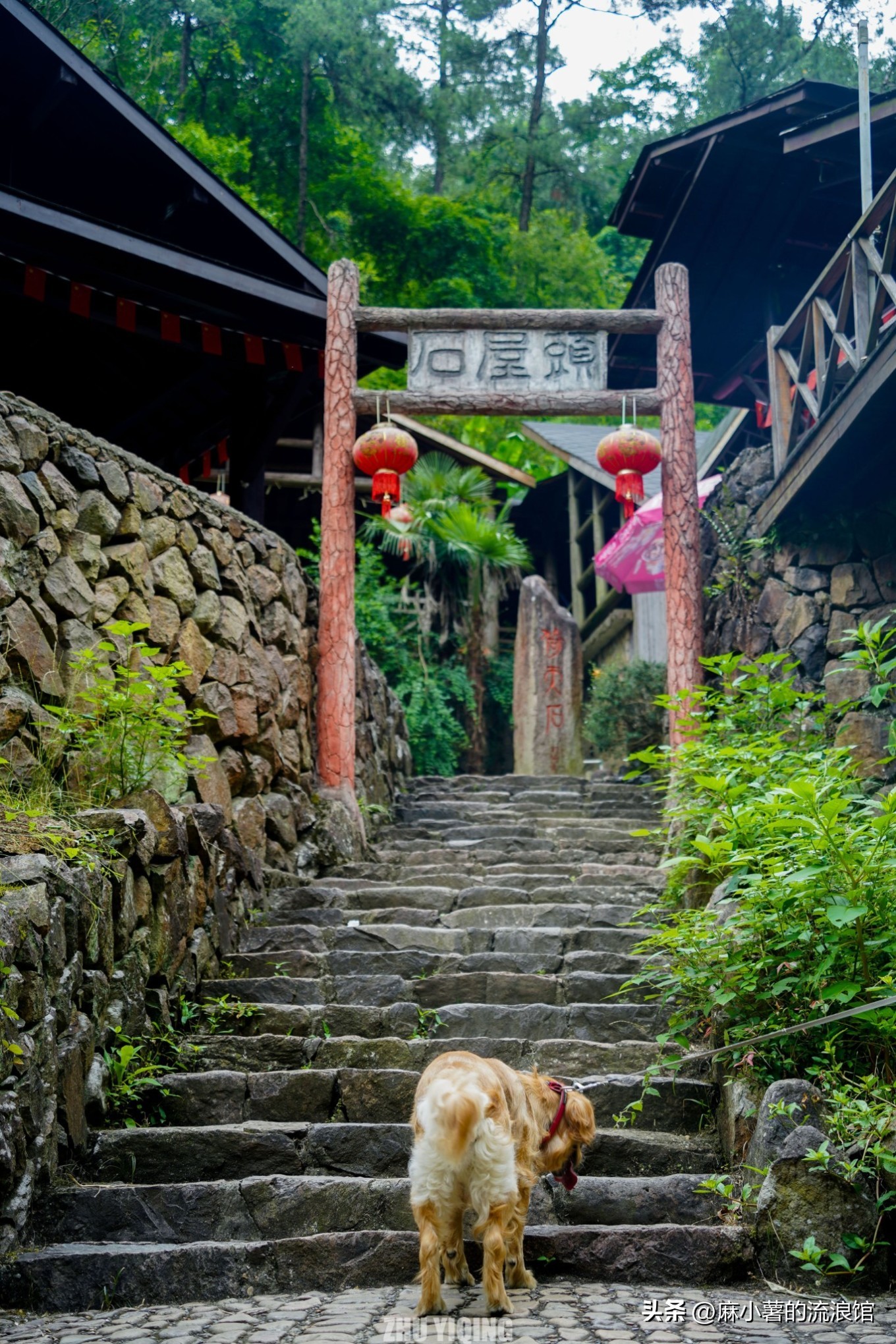 杭州桐庐大奇山二日游,杭州避暑胜地一日游