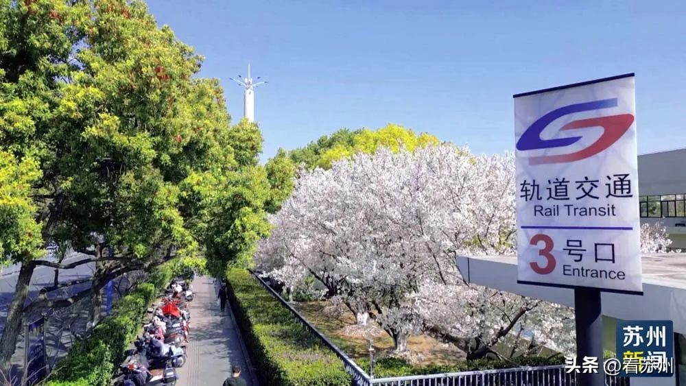 苏州赏花的地方,苏州三月中旬赏花去处