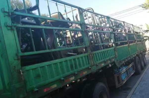 大连这家店半夜偷偷干这事...近千名会员怒了